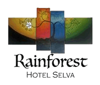 Rainforest Hotel Selva - Hotel in Iguazú Falls